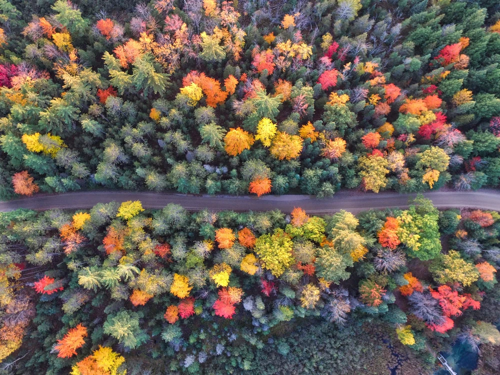 Seasons image