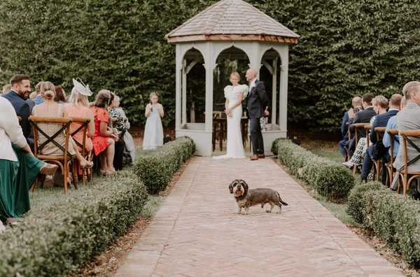 Wedding gallery image 19